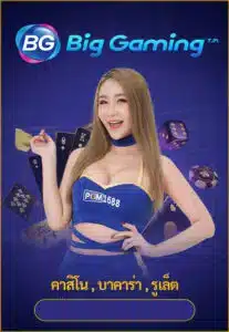 Big-Gaming - pgm1688-plus.com
